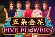 Five Flowers slot